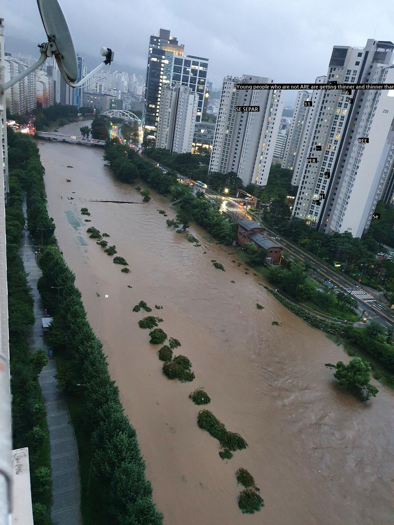 This is Anyangcheon Stream or the Yellow River