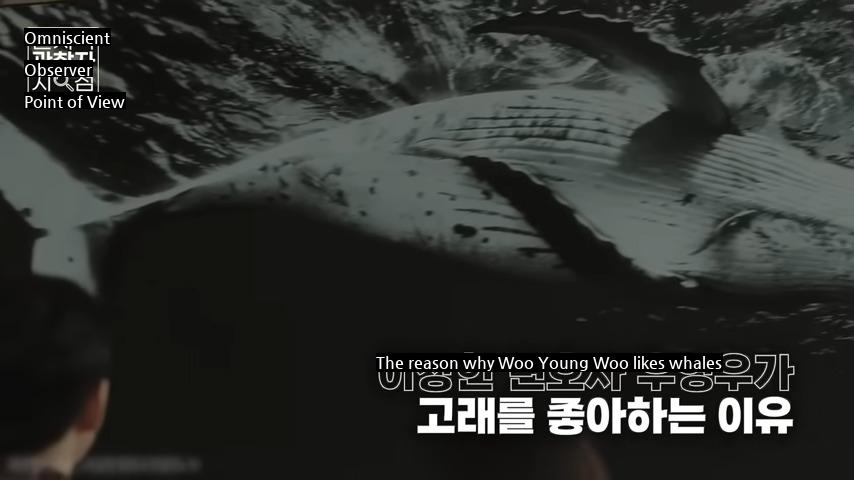 Why did Woo Young Woo like whales?
