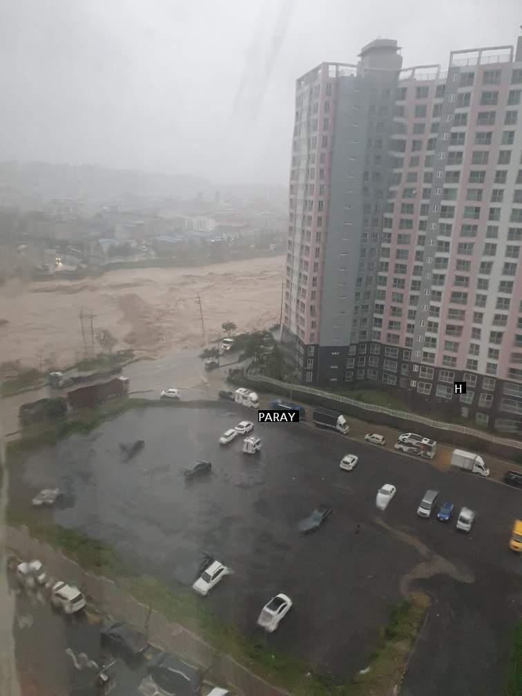 This is the current situation in Pohang Pohang Ocheon Mundeok Naengcheon Stream