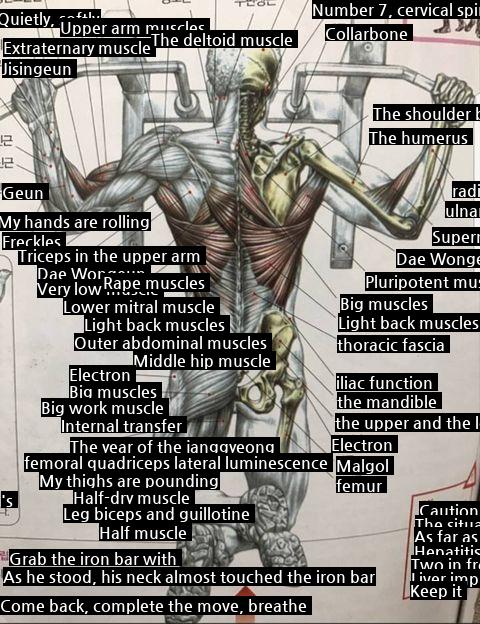 The reason why chin-ups are the best of all bare-body exercises