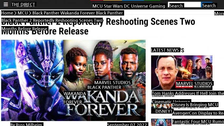 What's up with Black Panther 2?