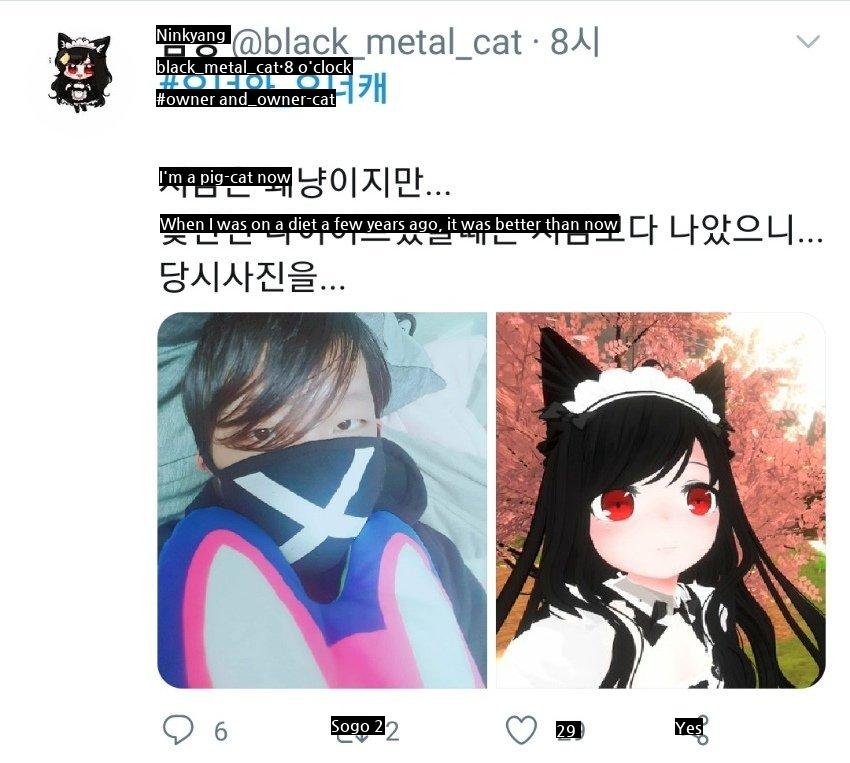 VR Chat Owner and Owner Cat Challenge.jpg