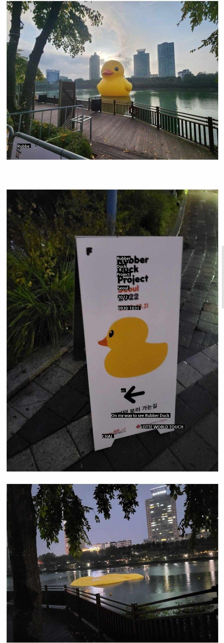 Seokchon Lake Rubber Duck is back after 8 years