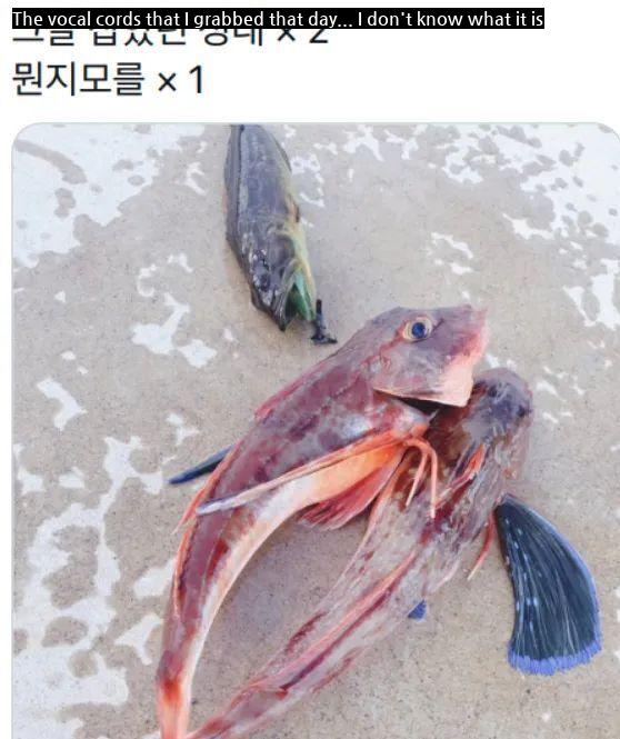 As a result of fishing with a 7,000-won Pororo fishing rod,