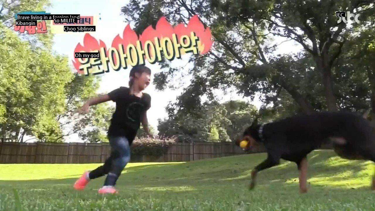 Choo Shin-soo's Daughter Makes Doberman Tired