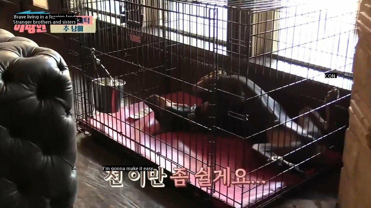 Choo Shin-soo's Daughter Makes Doberman Tired