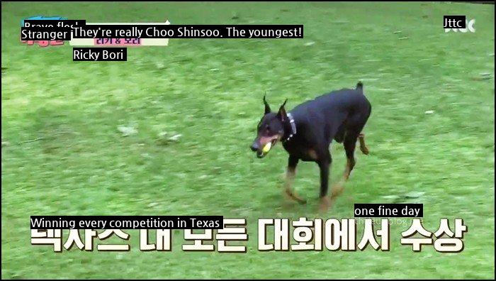 Choo Shin-soo's Daughter Makes Doberman Tired