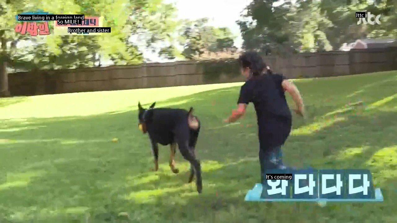 Choo Shin-soo's Daughter Makes Doberman Tired