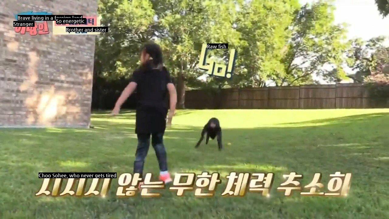 Choo Shin-soo's Daughter Makes Doberman Tired