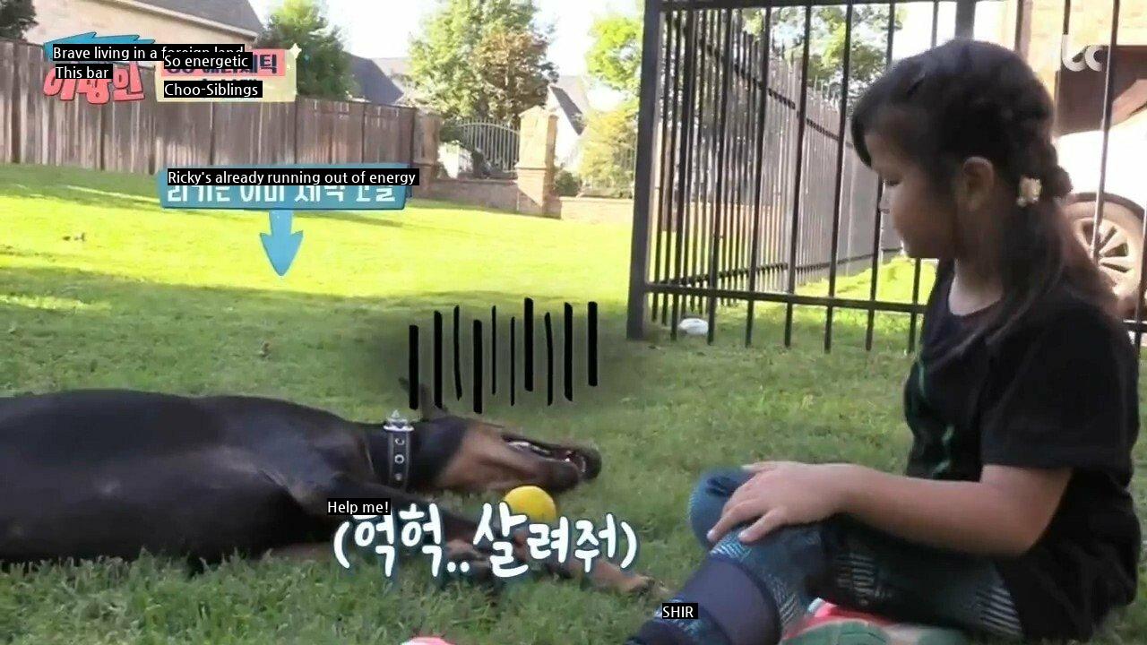 Choo Shin-soo's Daughter Makes Doberman Tired