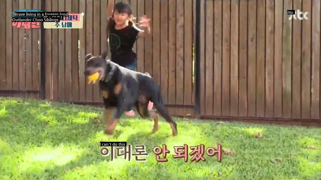 Choo Shin-soo's Daughter Makes Doberman Tired