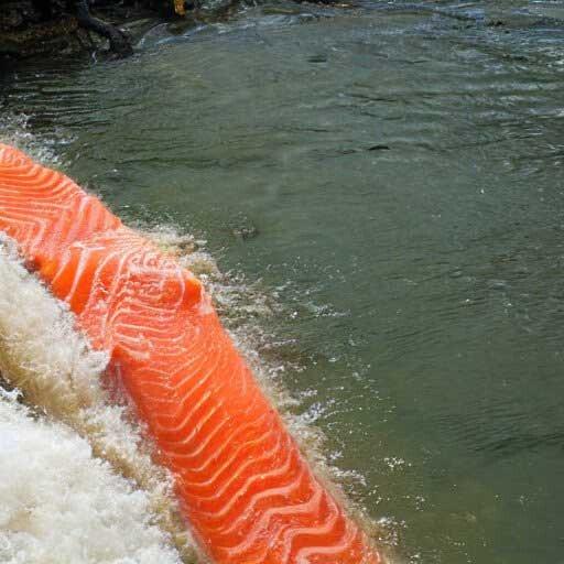 Salmon that climbs up the river created by AI lol