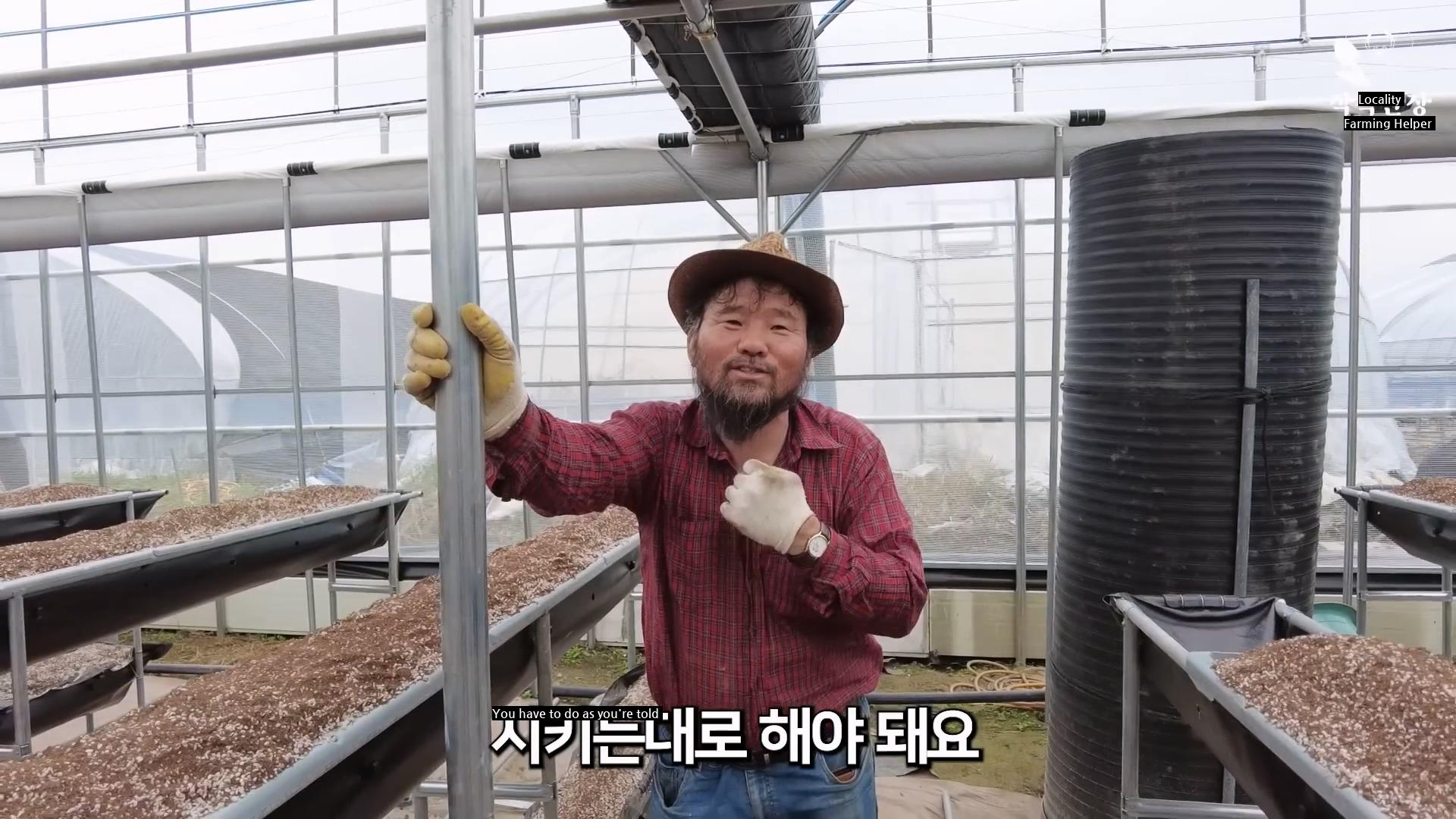 Why the current farmer should not get support from the government when building a greenhouse.jpg