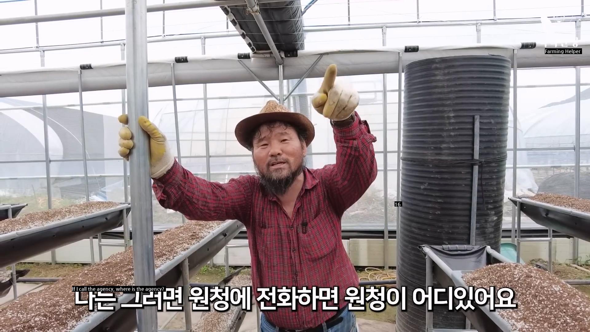 Why the current farmer should not get support from the government when building a greenhouse.jpg