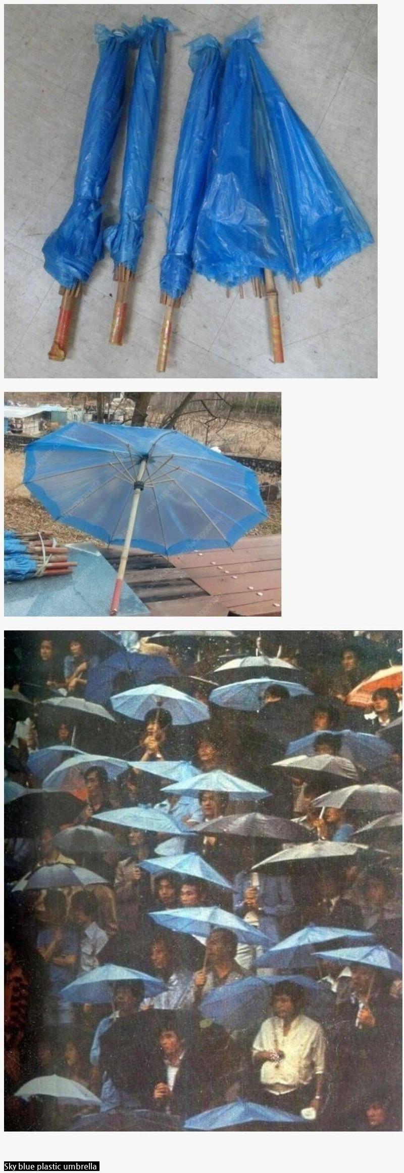 Umbrella that people in their 20s don't know these days.jpg