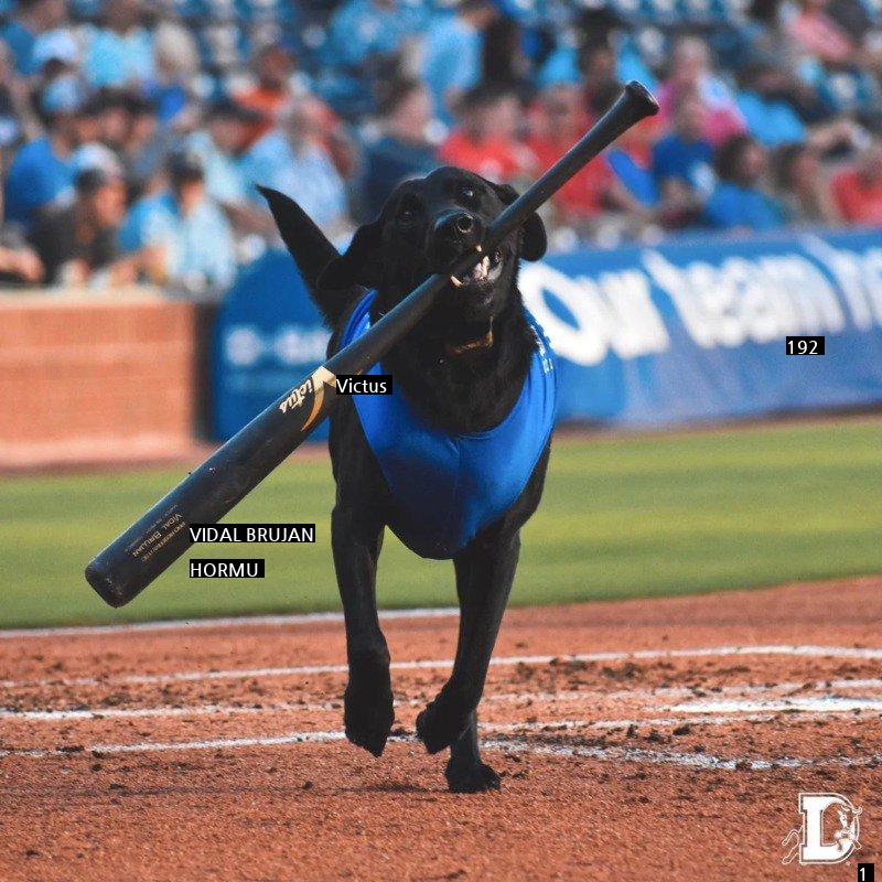 The baseball player who realized that he had taken out the puppy's job