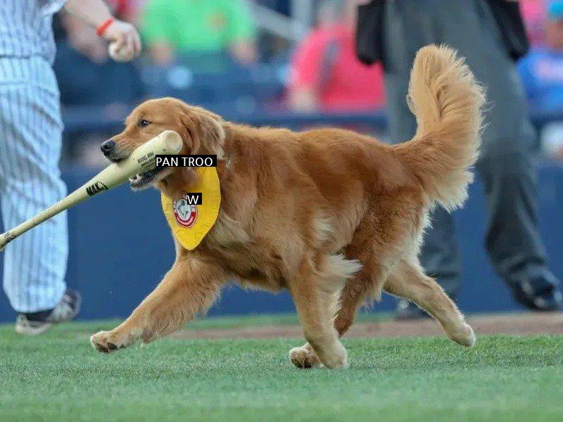 The baseball player who realized that he had taken out the puppy's job