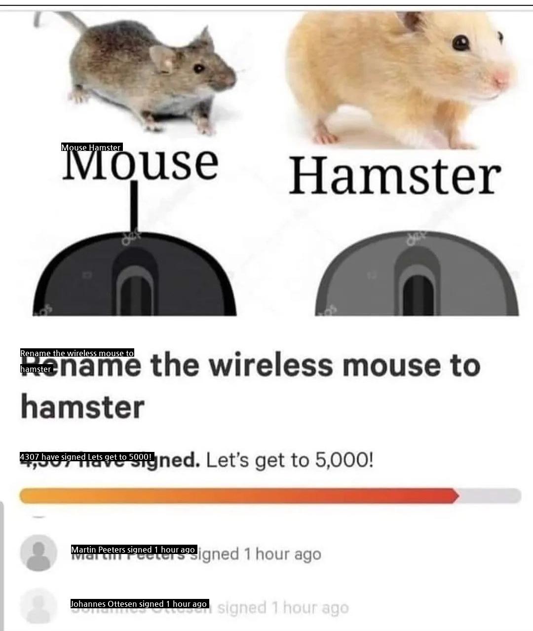 Wireless Mouse Rename Petition