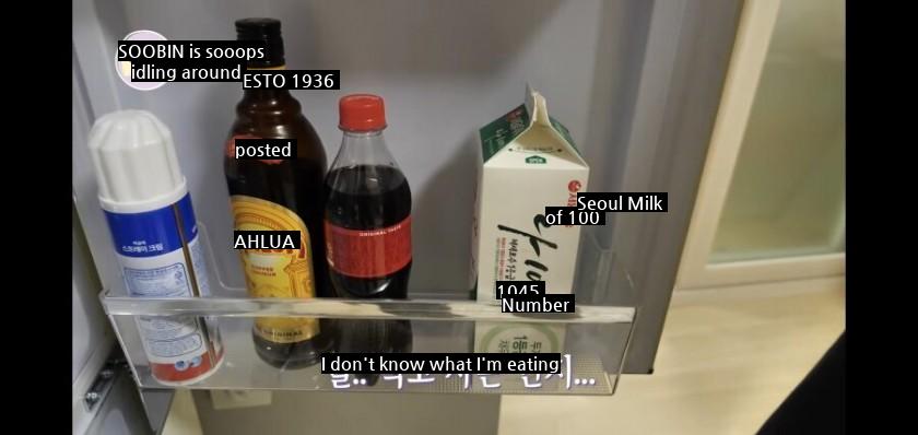 Chae Soobin's refrigerator disaster.jpg