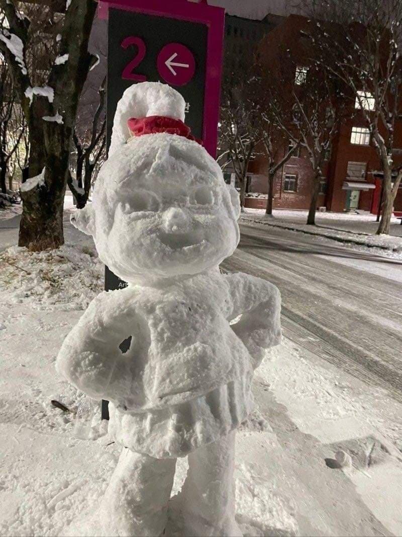 Another controversy this winter. Assault of a snowman.jpg