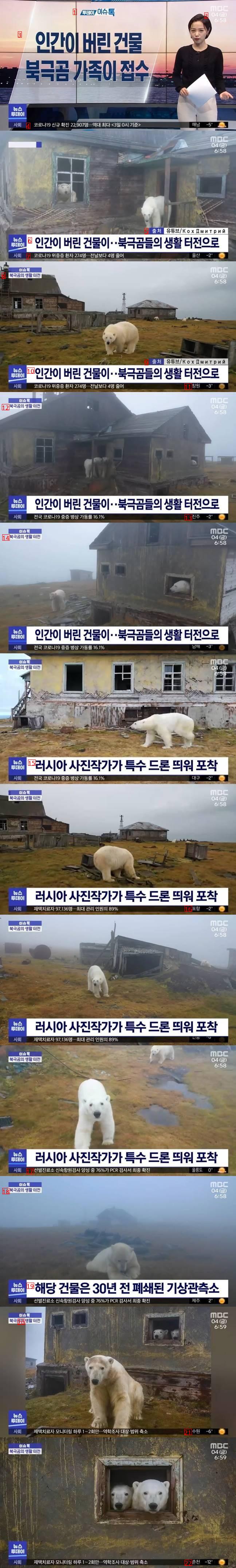 Polar bear family in a building abandoned by humans.jpg