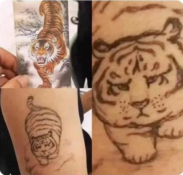 Tiger tattoo catastrophe.jpg