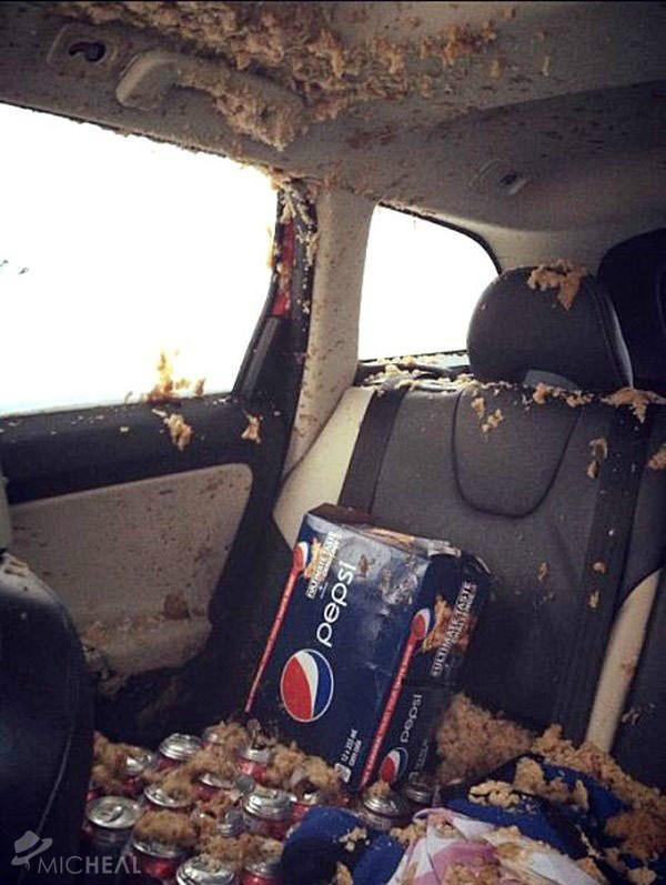 What happens when Pepsi is left alone in the car in the cold winter.