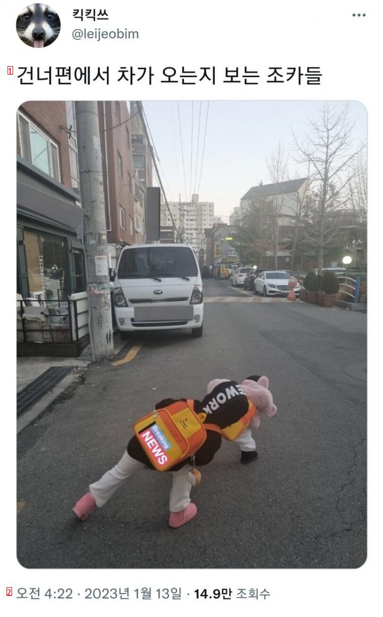 Babies watching if a car is coming from across the street.jpg