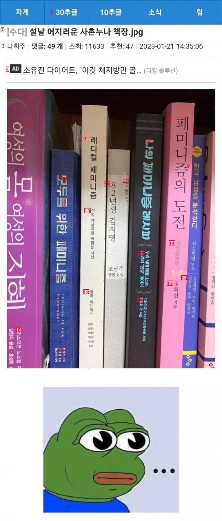 Lunar New Year Cousin noona bookcase jpg