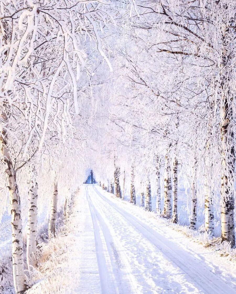 Finnish rural winter scenery jpg