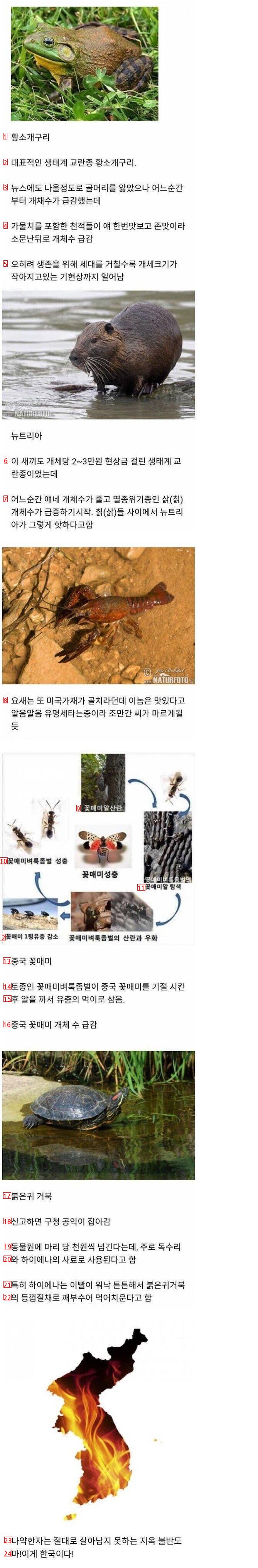Current status of foreign species that invaded Korea.
