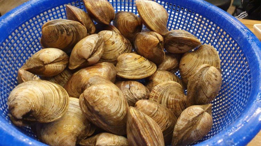 Grilled clams that I ate after waiting for an hour.