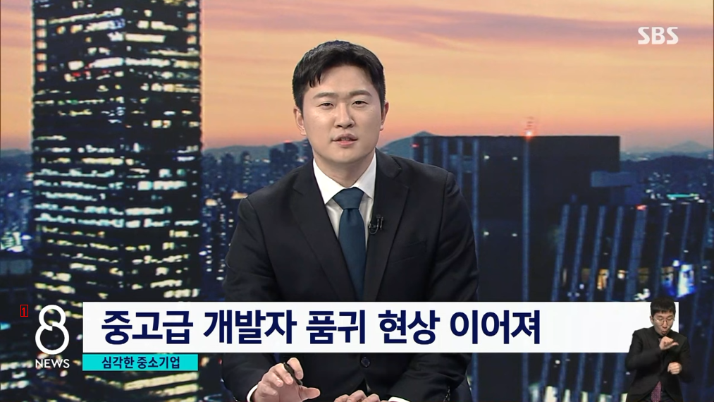 IT industry's recent status that domestic developers are filtered out and foreign labor is imported and used is ㄷNEWSWS