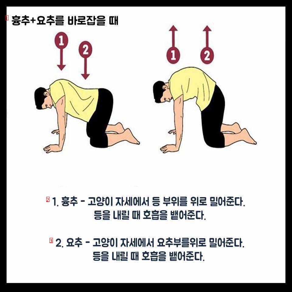 How to straighten your spine