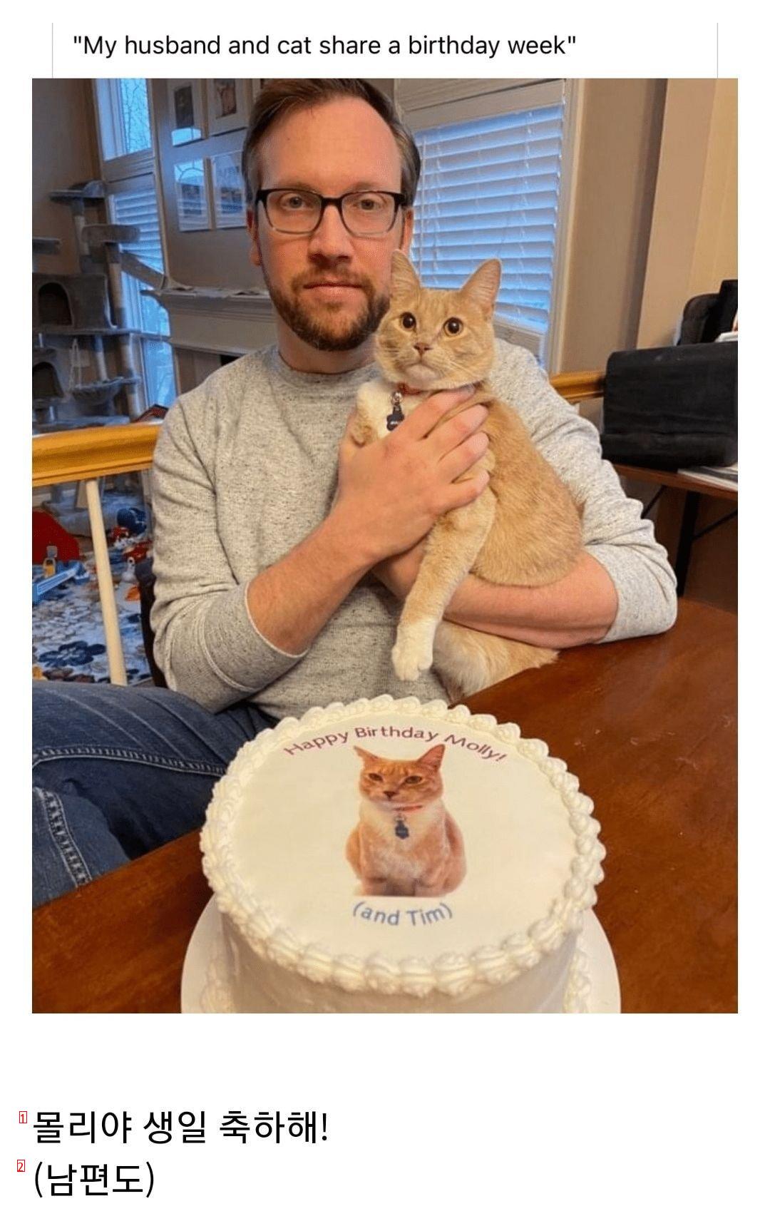 My husband and my cat's birthday is similar, so we decided to have a party together.
