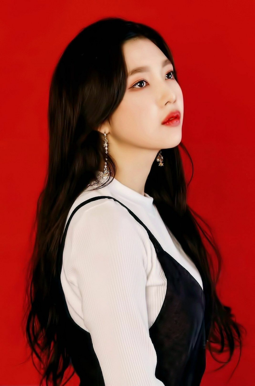 Red Velvet Joy