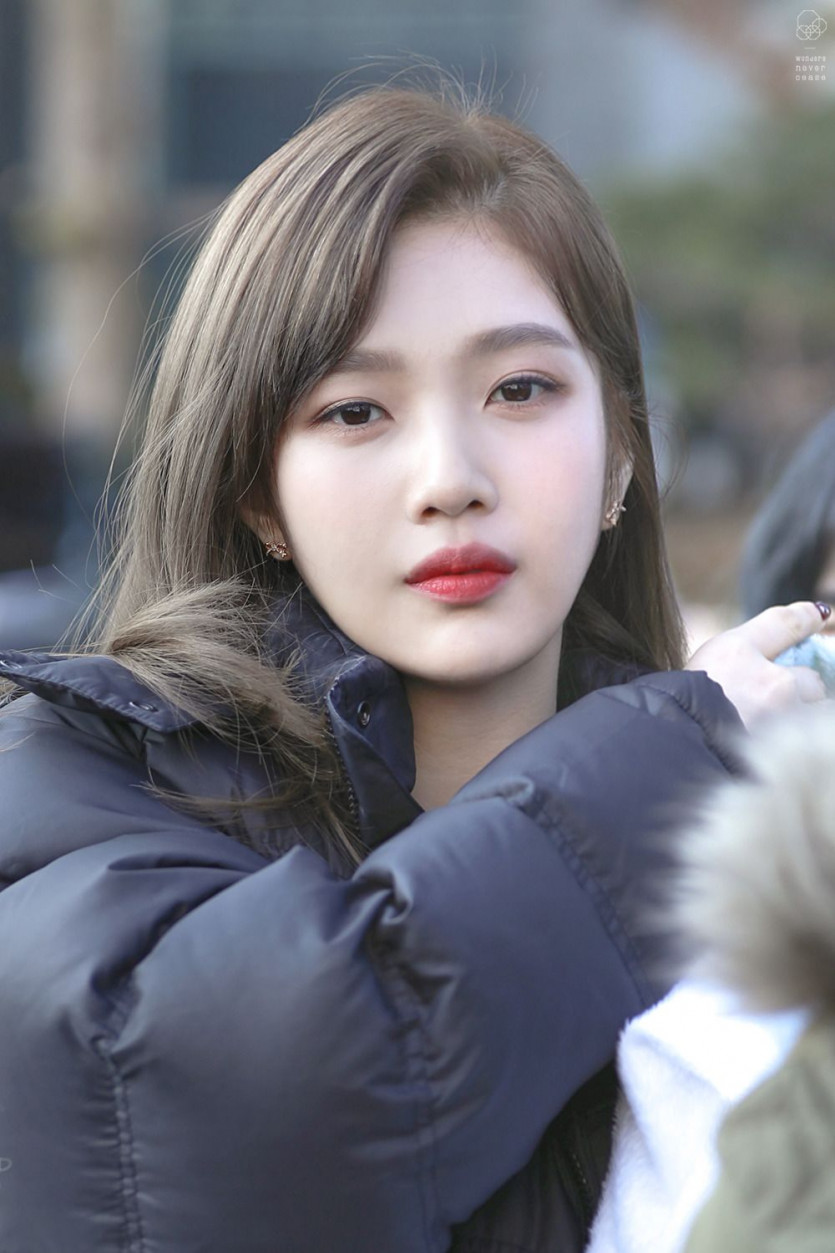 Red Velvet Joy