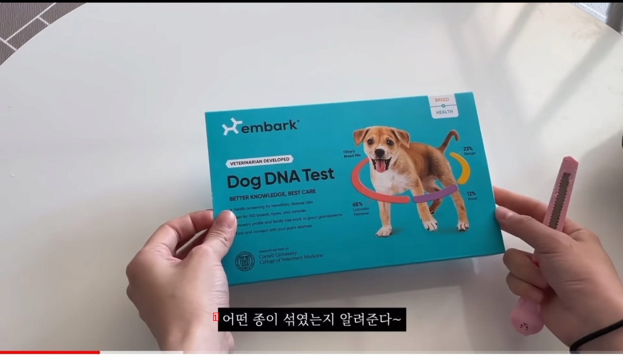 DNA genetic testing of a country poop puppy jpg