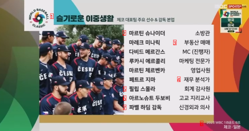 The actual jobs of Czech players who will face Korea in wbc.jpg