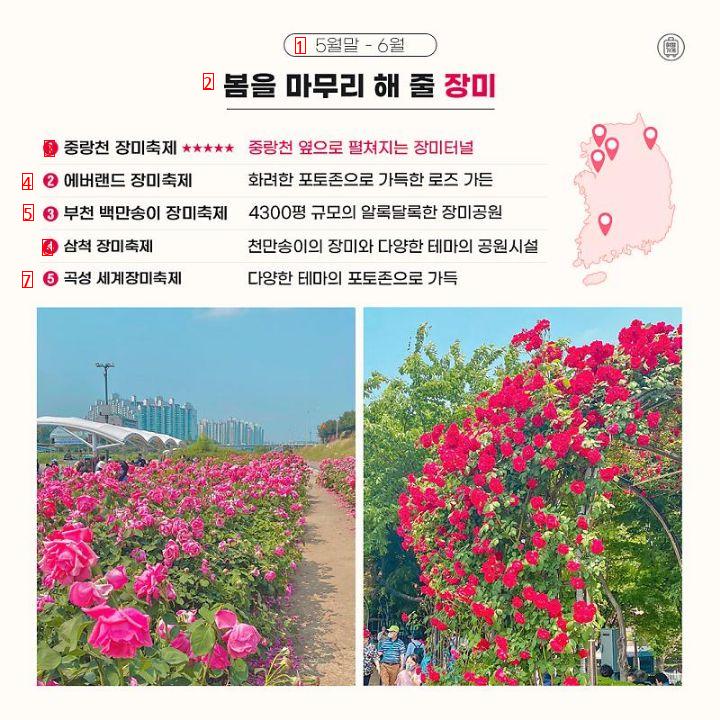 National Spring Flower Festival attractions are organized.