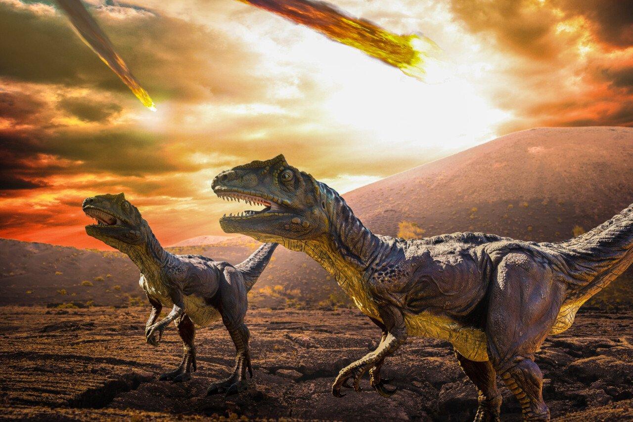 Solo dinosaurs eventually went extinct.