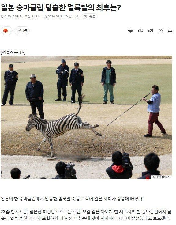 The final JPG of the zebra escape case that saddened Japanese society