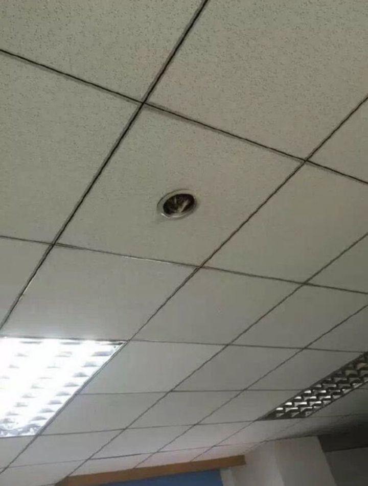 the latest surveillance camera introduced by the company