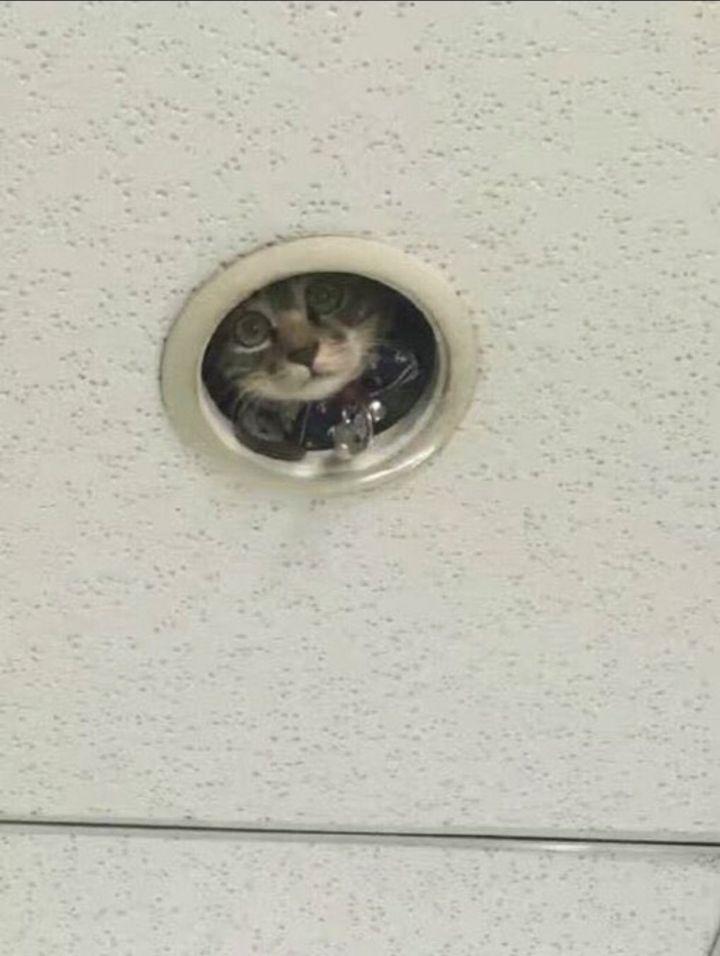 the latest surveillance camera introduced by the company