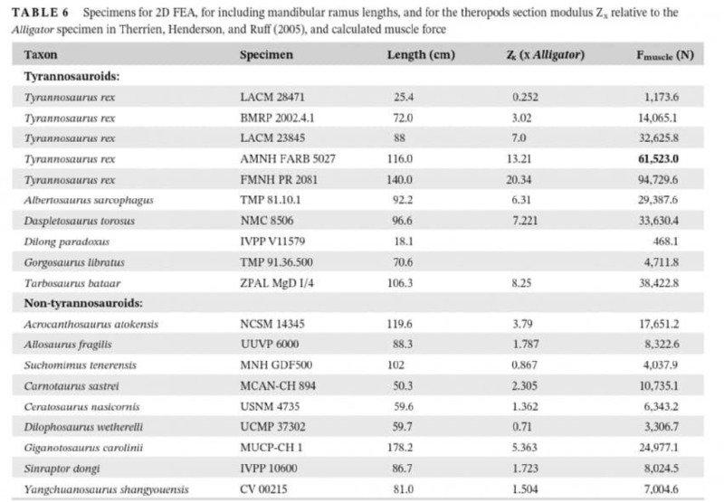 What's up with Tyrannosaurus