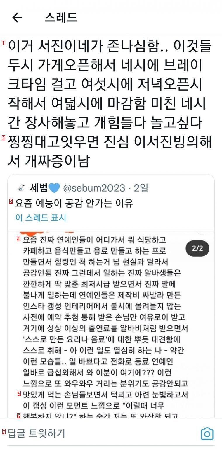 A netizen who got mad at Seojin