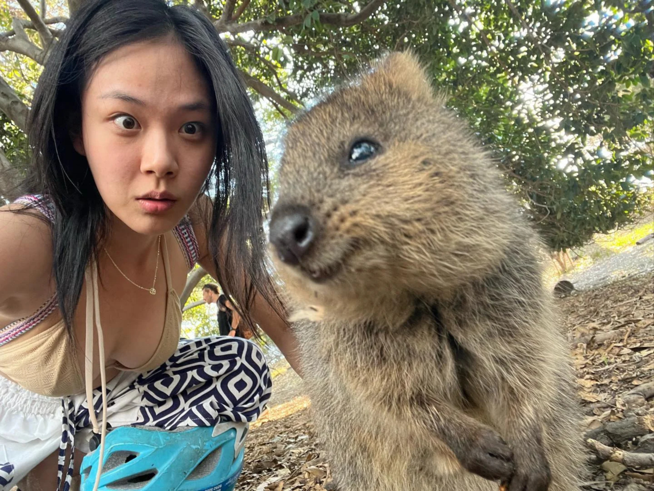 BB BIBI went to see quokka