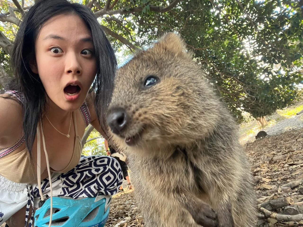 BB BIBI went to see quokka