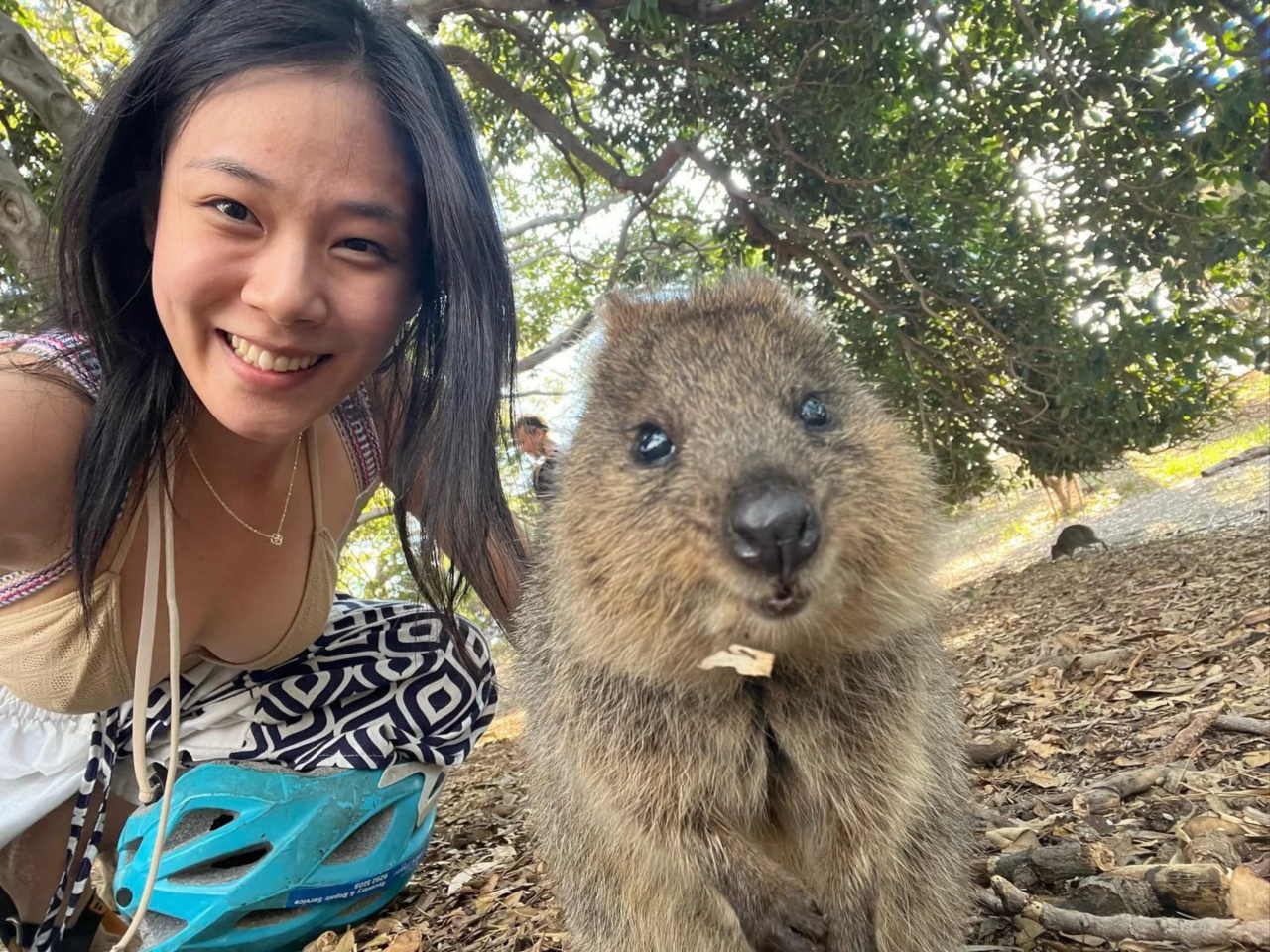 BB BIBI went to see quokka