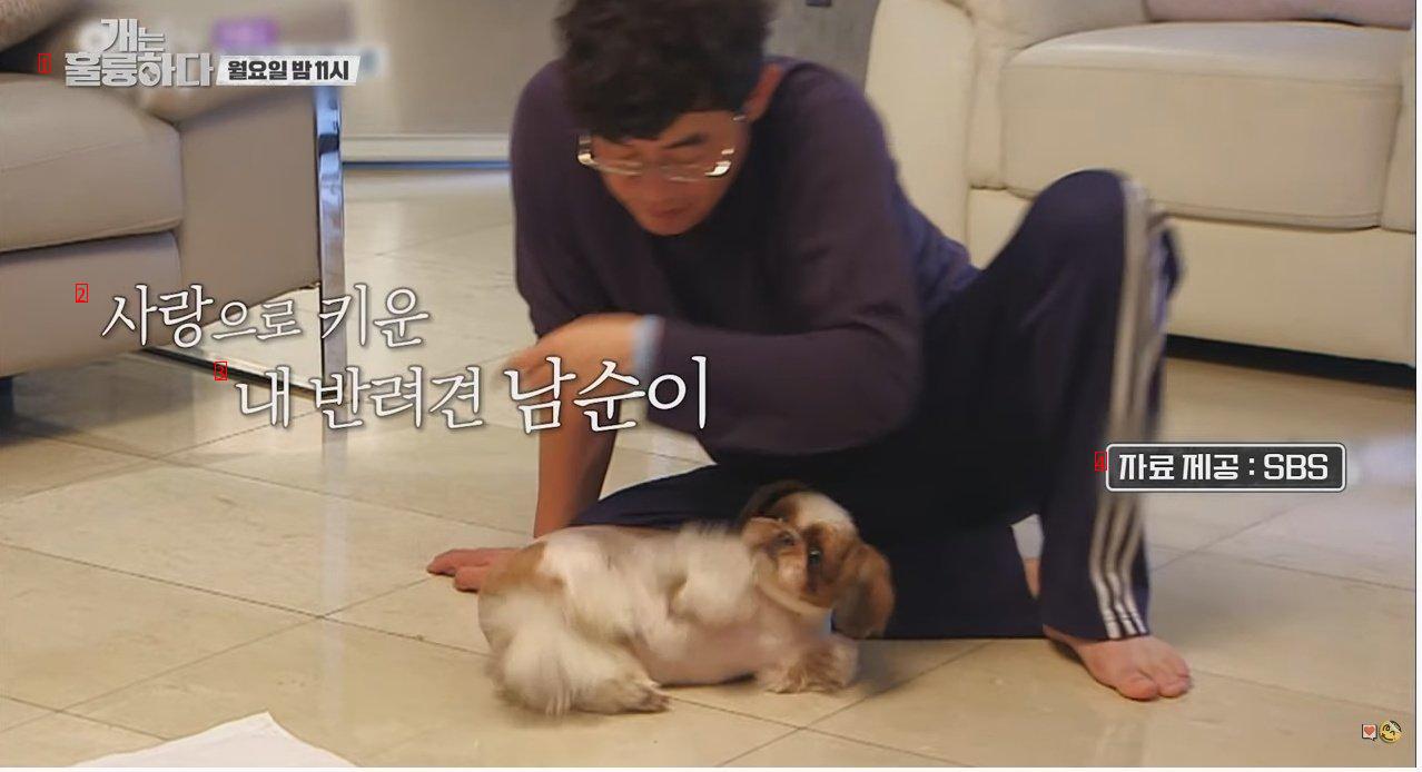 Lee Kyung Kyu, who heard about his dog's death during the shoot